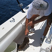 Picture 016